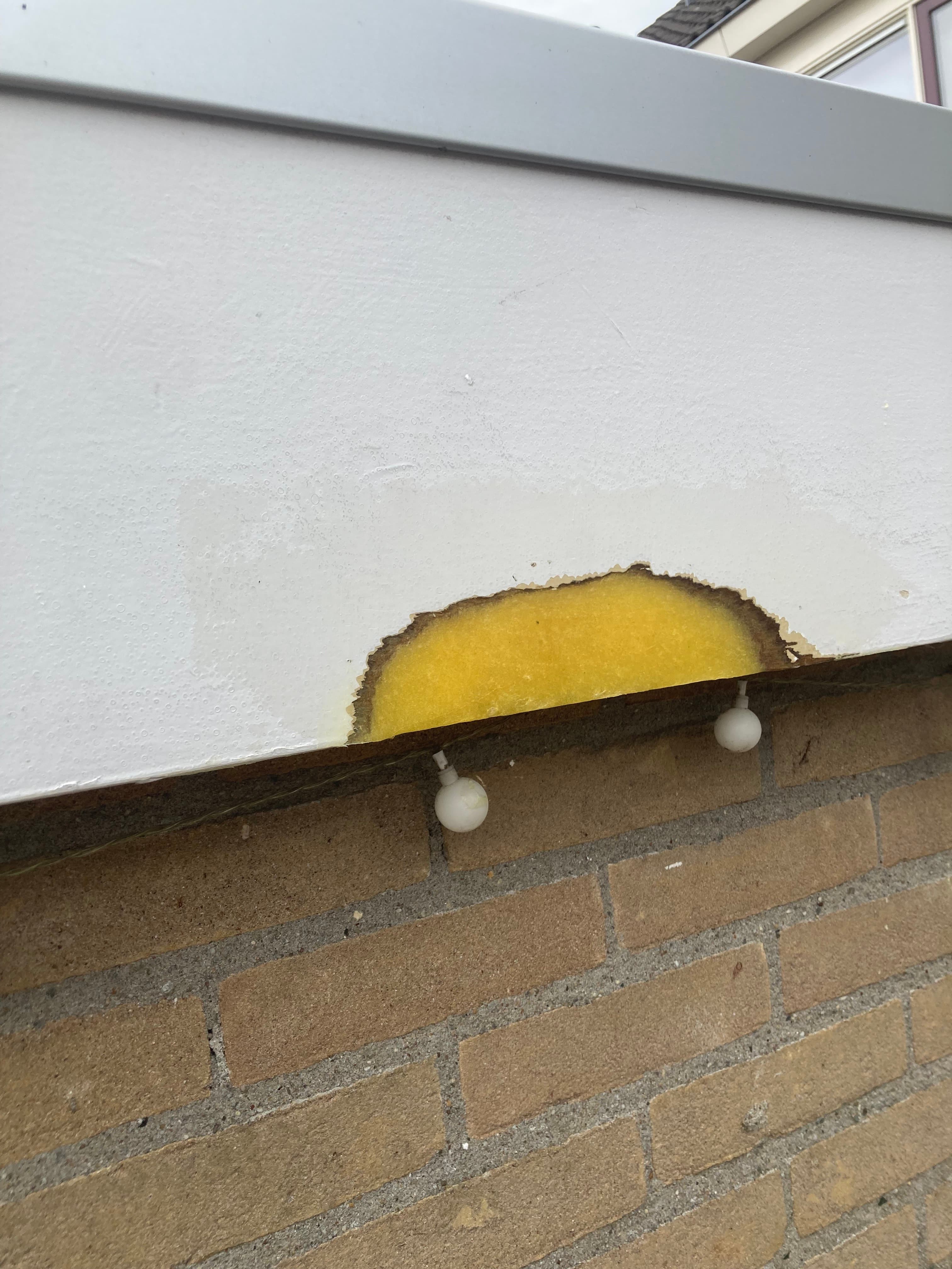 Houtrot project 2 - MB Totaal Service Den Haag