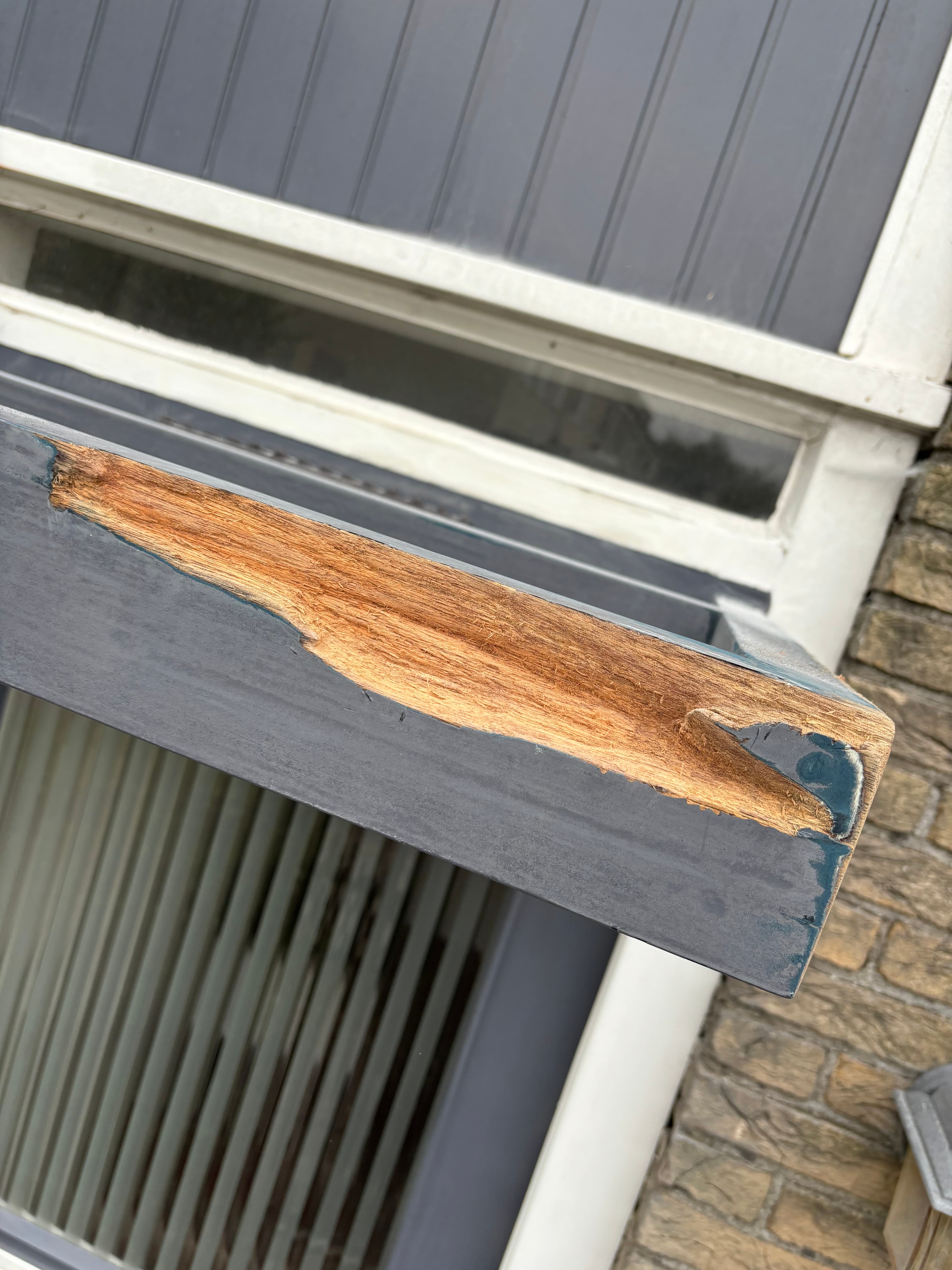 Houtrot door MB Totaal Service in Den Haag